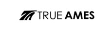 TRUEAMES FIN トゥルーアムスフィン