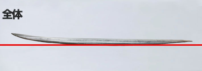メーカー注文] FIREWIRE SURFBOARDS ファイヤーワイヤー
