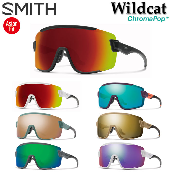 SMITH (スミス) WildCat Sunglasses ワイルドキャット サングラス マットサファリ ブラックゴールド